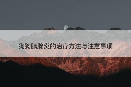 狗狗胰腺炎的治疗方法与注意事项
