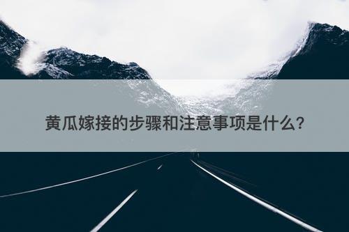 黄瓜嫁接的步骤和注意事项是什么？
