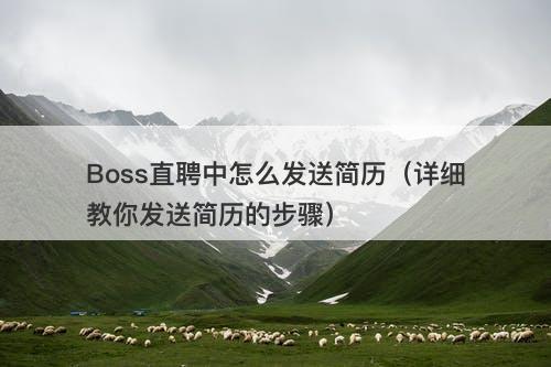 Boss直聘中怎么发送简历（详细教你发送简历的步骤）