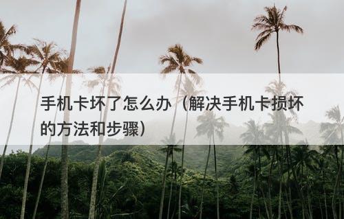 手机卡坏了怎么办（解决手机卡损坏的方法和步骤）