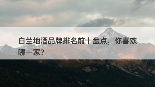 白兰地酒品牌排名前十盘点，你喜欢哪一家？