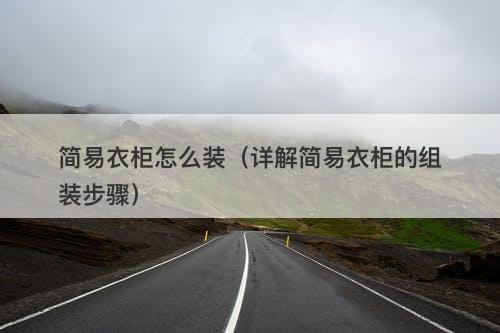 简易衣柜怎么装（详解简易衣柜的组装步骤）