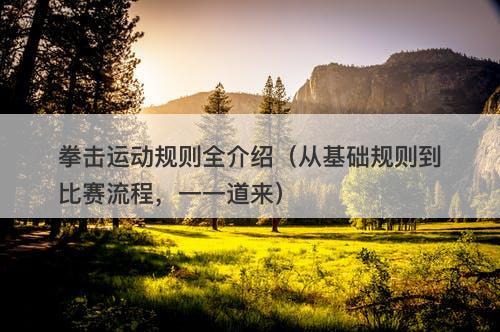 拳击运动规则全介绍（从基础规则到比赛流程，一一道来）