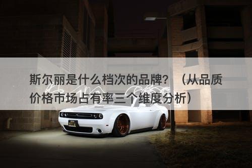 斯尔丽是什么档次的品牌？（从品质价格市场占有率三个维度分析）