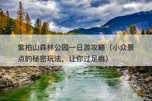 紫柏山森林公园一日游攻略（小众景点的秘密玩法，让你过足瘾）