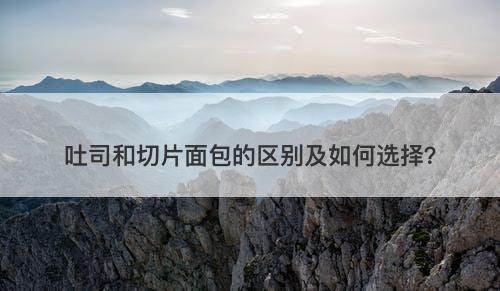 吐司和切片面包的区别及如何选择？