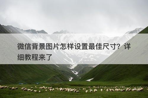 微信背景图片怎样设置最佳尺寸？详细教程来了