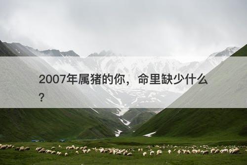2007年属猪的你，命里缺少什么？