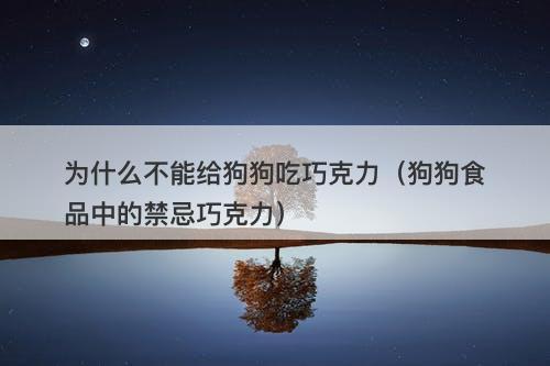 为什么不能给狗狗吃巧克力（狗狗食品中的禁忌巧克力）