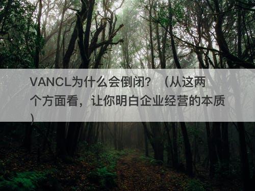 VANCL为什么会倒闭？（从这两个方面看，让你明白企业经营的本质）
