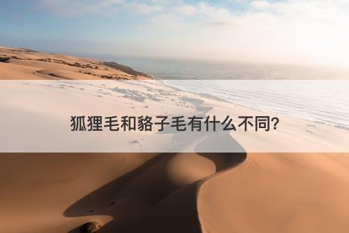 狐狸毛和貉子毛有什么不同？