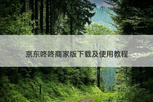 京东咚咚商家版下载及使用教程