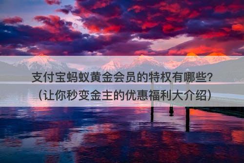 支付宝蚂蚁黄金会员的特权有哪些？（让你秒变金主的优惠福利大介绍）