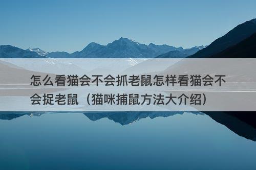 怎么看猫会不会抓老鼠怎样看猫会不会捉老鼠（猫咪捕鼠方法大介绍）
