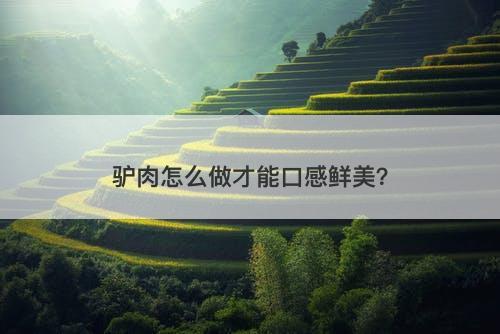驴肉怎么做才能口感鲜美？