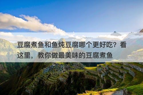 豆腐煮鱼和鱼炖豆腐哪个更好吃？看这里，教你做最美味的豆腐煮鱼