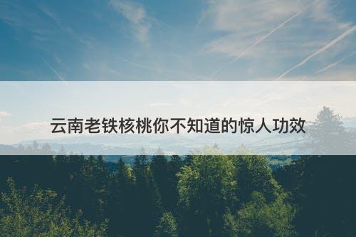 云南老铁核桃你不知道的惊人功效