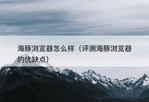 海豚浏览器怎么样（评测海豚浏览器的优缺点）