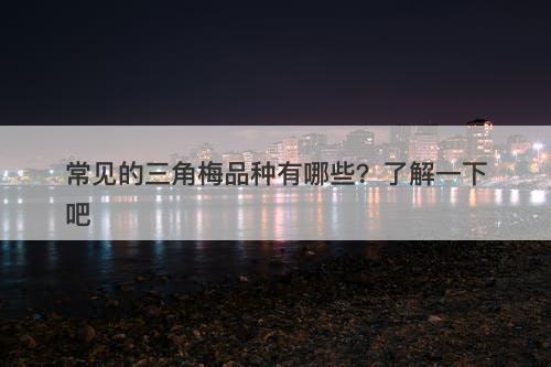 常见的三角梅品种有哪些？了解一下吧