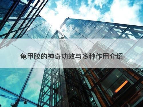 龟甲胶的神奇功效与多种作用介绍