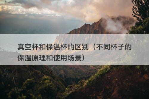 真空杯和保温杯的区别（不同杯子的保温原理和使用场景）