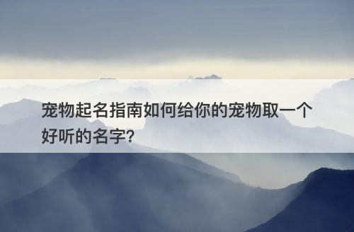 宠物起名指南如何给你的宠物取一个好听的名字？