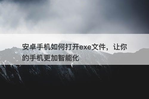 安卓手机如何打开exe文件，让你的手机更加智能化