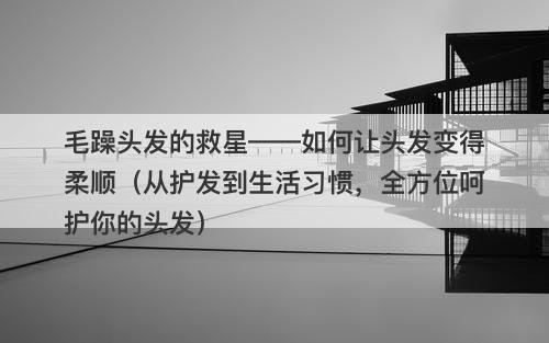 毛躁头发的救星——如何让头发变得柔顺（从护发到生活习惯，全方位呵护你的头发）