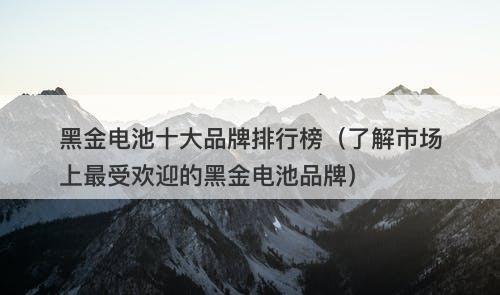 黑金电池十大品牌排行榜（了解市场上最受欢迎的黑金电池品牌）