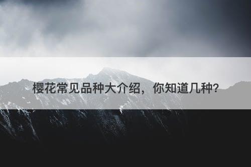 樱花常见品种大介绍，你知道几种？