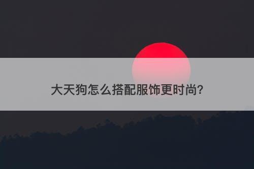 大天狗怎么搭配服饰更时尚？