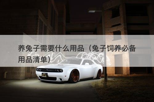 养兔子需要什么用品（兔子饲养必备用品清单）