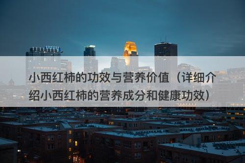 小西红柿的功效与营养价值（详细介绍小西红柿的营养成分和健康功效）