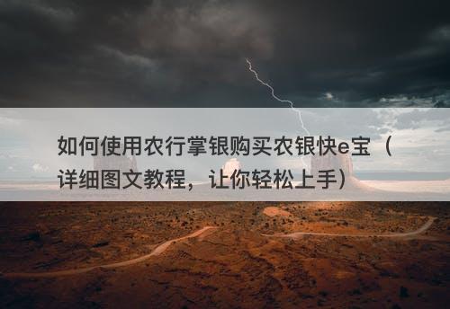 如何使用农行掌银购买农银快e宝（详细图文教程，让你轻松上手）