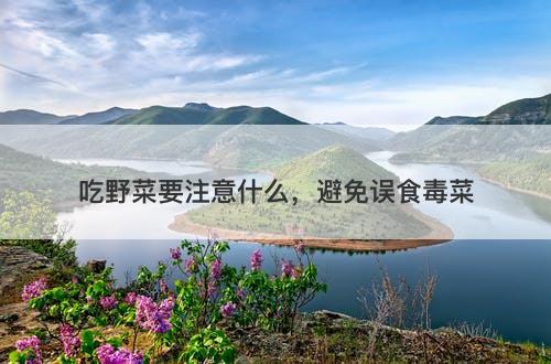 吃野菜要注意什么，避免误食毒菜