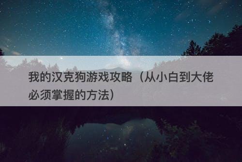 我的汉克狗游戏攻略（从小白到大佬必须掌握的方法）