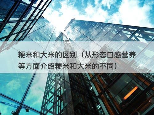 粳米和大米的区别（从形态口感营养等方面介绍粳米和大米的不同）