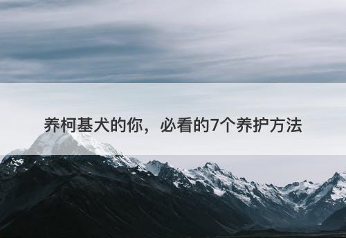 养柯基犬的你，必看的7个养护方法