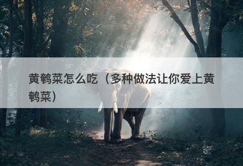 黄鹌菜怎么吃（多种做法让你爱上黄鹌菜）