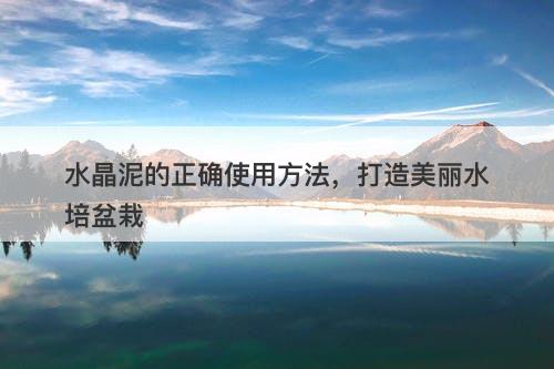 水晶泥的正确使用方法，打造美丽水培盆栽