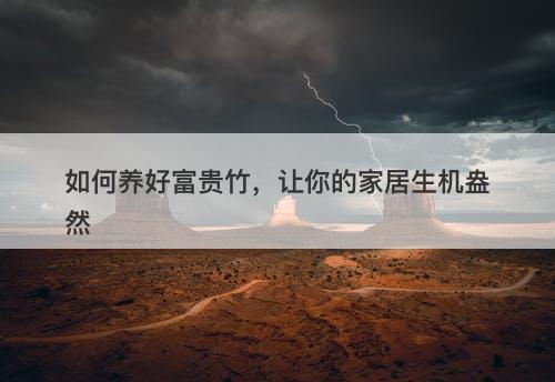 如何养好富贵竹，让你的家居生机盎然