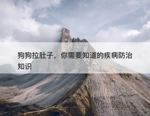 狗狗拉肚子，你需要知道的疾病防治知识