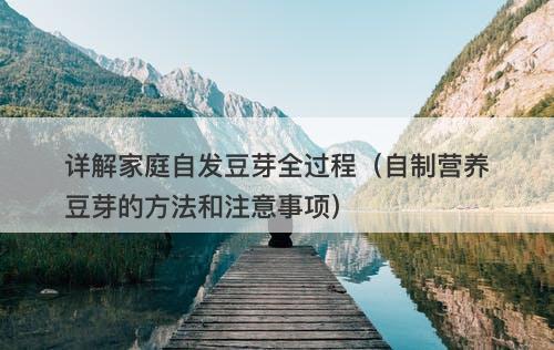 详解家庭自发豆芽全过程（自制营养豆芽的方法和注意事项）