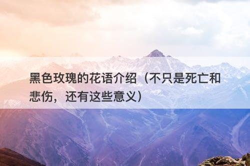 黑色玫瑰的花语介绍（不只是死亡和悲伤，还有这些意义）