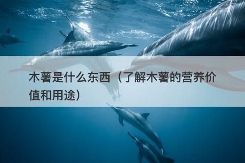 木薯是什么东西（了解木薯的营养价值和用途）