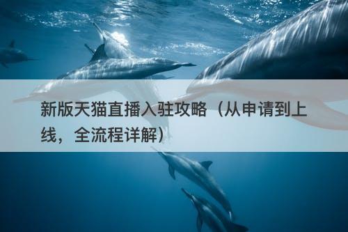 新版天猫直播入驻攻略（从申请到上线，全流程详解）-图1
