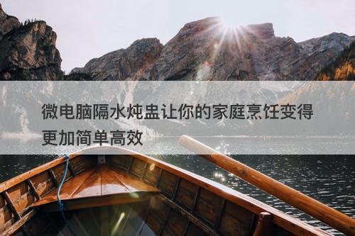 微电脑隔水炖盅让你的家庭烹饪变得更加简单高效-图1