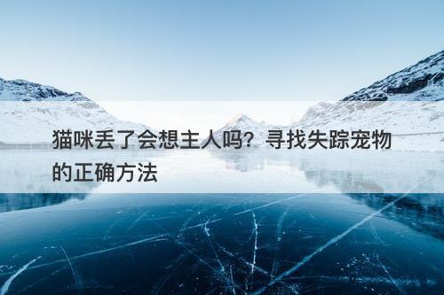 猫咪丢了会想主人吗？寻找失踪宠物的正确方法