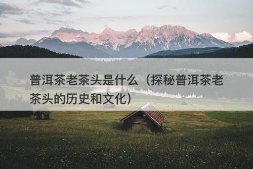 普洱茶老茶头是什么（探秘普洱茶老茶头的历史和文化）