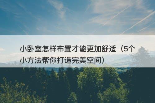 小卧室怎样布置才能更加舒适（5个小方法帮你打造完美空间）